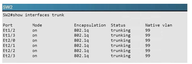 300-115 dumps