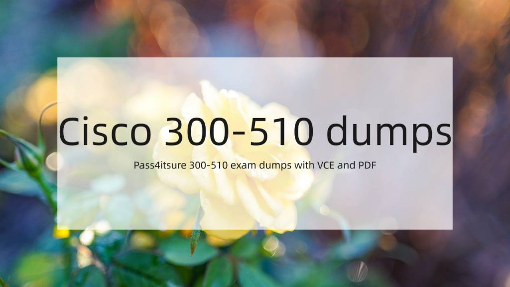 Cisco 300-510 dumps