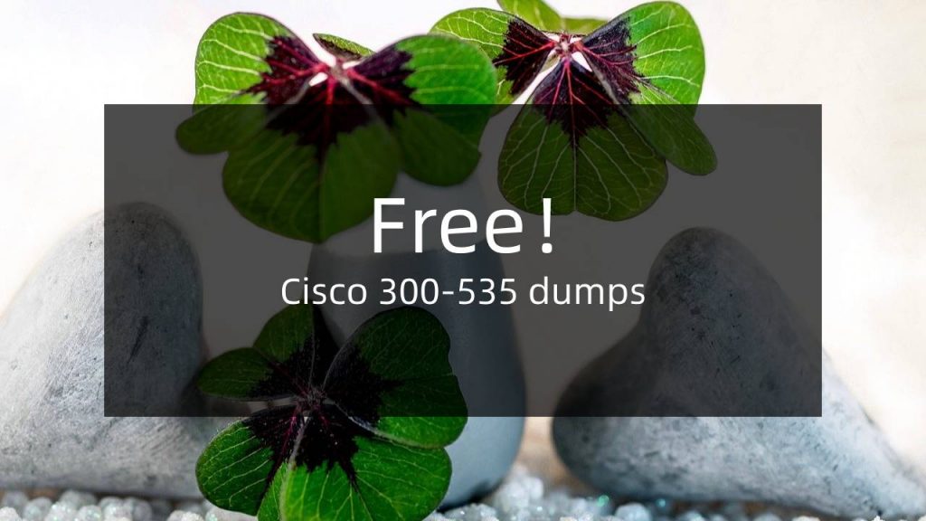 300-535 dumps free