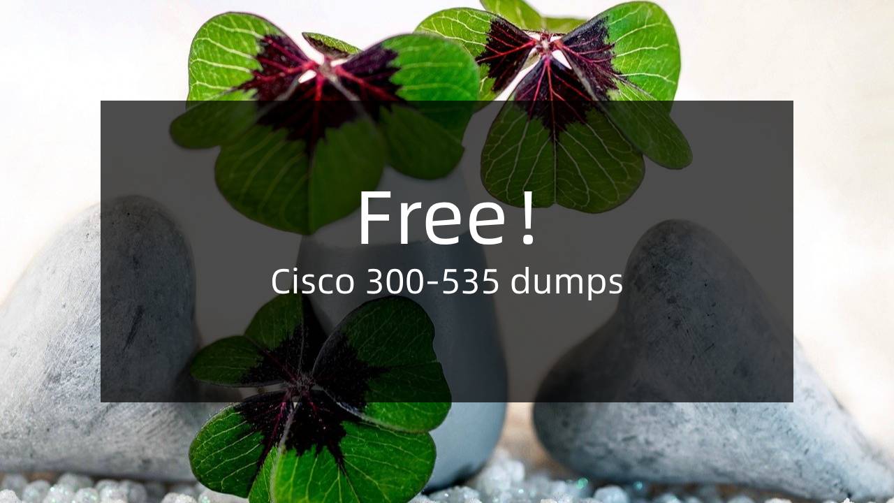 300-535 PDF Demo