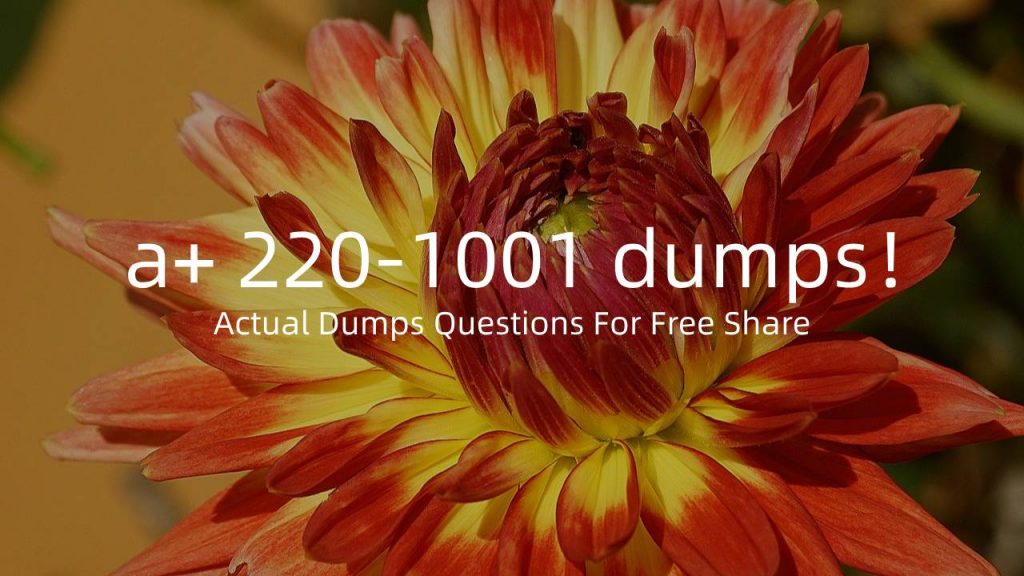 a+ 220-1001 dumps free