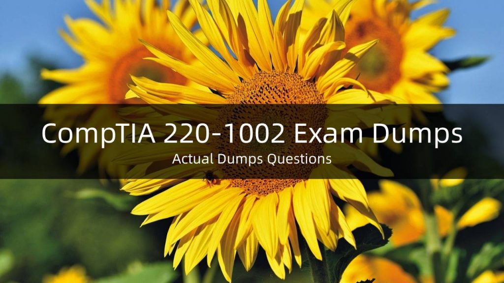 220-1002 Exam Dumps