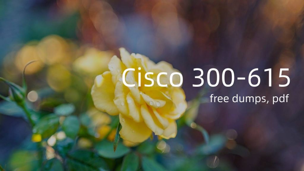 Cisco 300-615 dumps pdf 