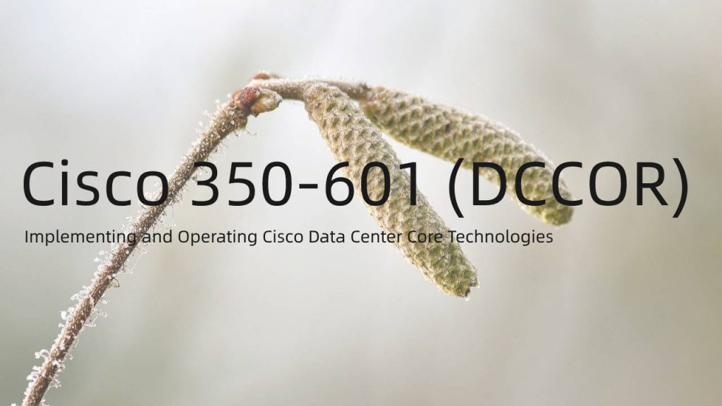  Cisco 350-601 DCCOR