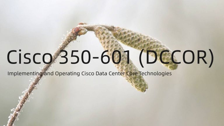 350-601 Probesfragen