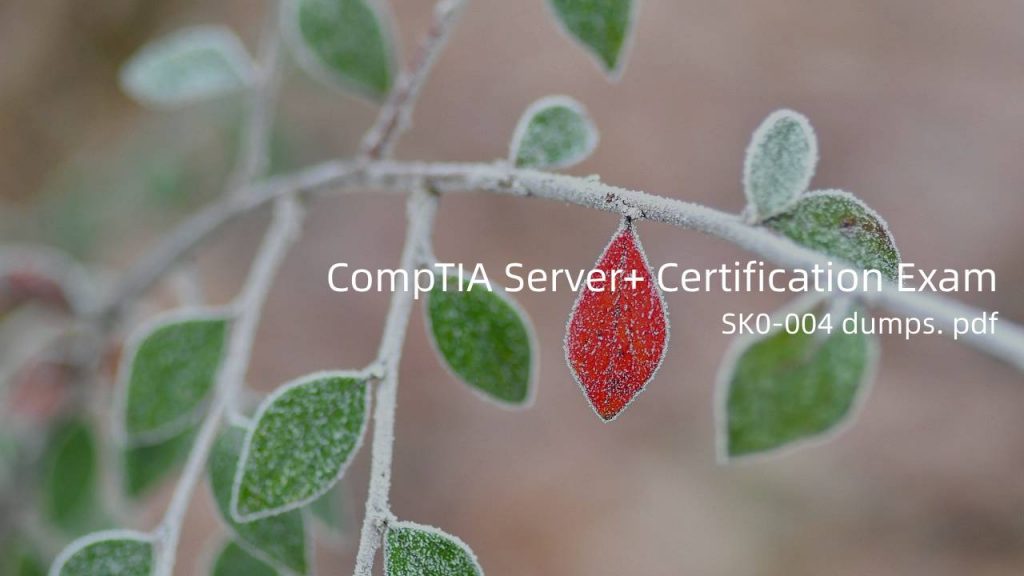  CompTIA Server+ Certification Exam